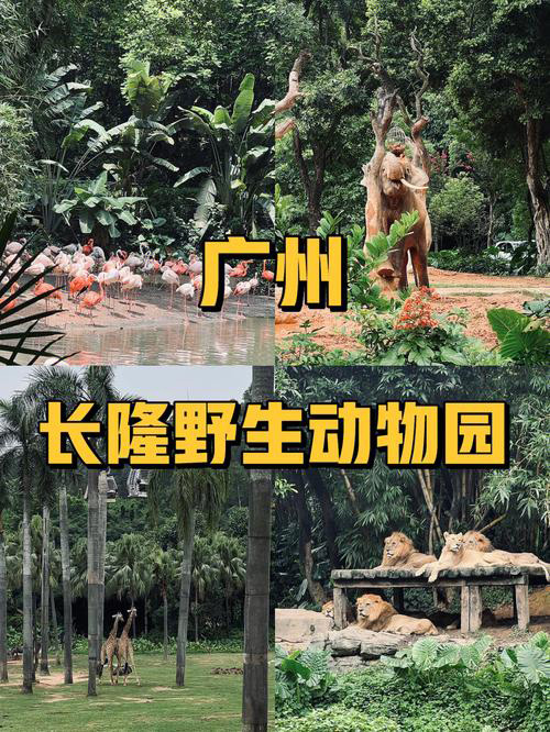 广州长隆野生动物园旅游 广州长隆野生动物园旅游